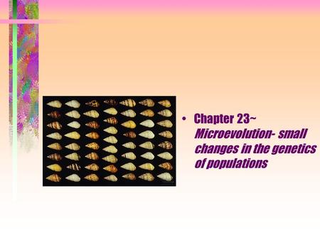 Chapter 23~ Microevolution- small changes in the genetics of populations.