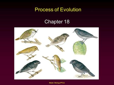 Process of Evolution Chapter 18 Mader: Biology 8th Ed.