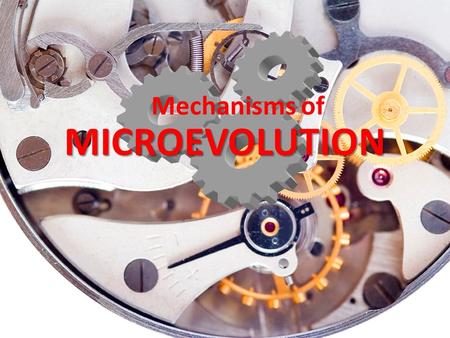 MICROEVOLUTION Mechanisms of. POPULATIONS Populations are groups of individuals that can breed with one another and are localized in certain regions.