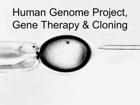 Human Genome Project, Gene Therapy & Cloning. Human Genome Project –Genomics – the study of complete sets of genes –Begun in 1990, the Human Genome Project.