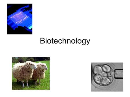 Biotechnology. Southern Blot/Electrophoresis Electrophoresis- separate DNA with electricity Step 1: DNA is isolated and cut with restriction enzymes –Makes.