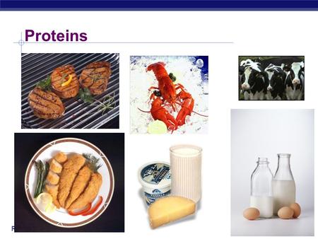 Regents Biology Proteins Regents Biology 2006-2007 Proteins: Multipurpose molecules.