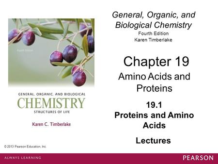 19.1 Proteins and Amino Acids