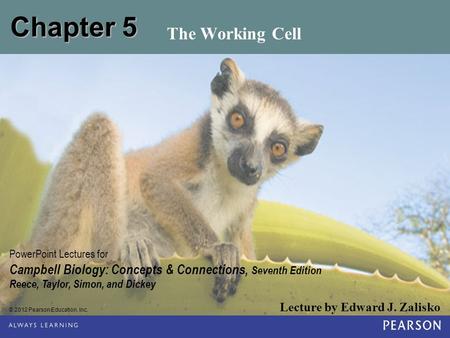 © 2012 Pearson Education, Inc. Lecture by Edward J. Zalisko PowerPoint Lectures for Campbell Biology: Concepts & Connections, Seventh Edition Reece, Taylor,