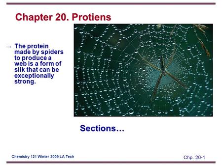 Chp. 20-1 Chemistry 121 Winter 2009 LA Tech Chapter 20. Protiens Sections… → The protein made by spiders to produce a web is a form of silk that can be.