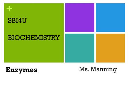 SBI4U BIOCHEMISTRY Enzymes Ms. Manning.