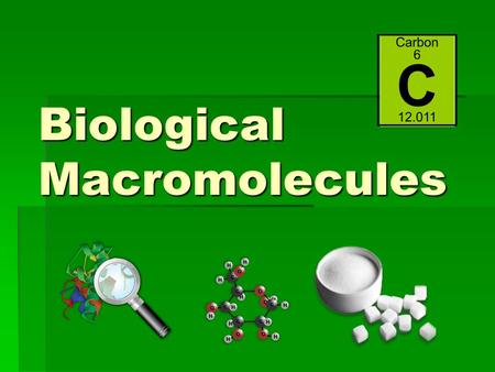 Biological Macromolecules