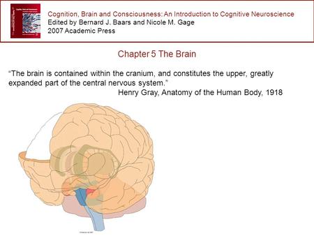 Cognition, Brain and Consciousness: An Introduction to Cognitive Neuroscience Edited by Bernard J. Baars and Nicole M. Gage 2007 Academic Press Chapter.