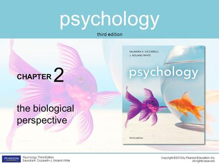 Psychology CHAPTER Copyright ©2012 by Pearson Education, Inc. All rights reserved. Psychology, Third Edition Saundra K. Ciccarelli J. Noland White third.