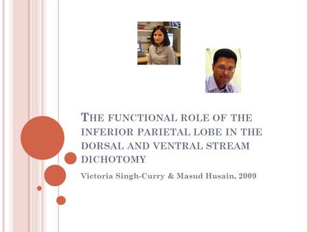 T HE FUNCTIONAL ROLE OF THE INFERIOR PARIETAL LOBE IN THE DORSAL AND VENTRAL STREAM DICHOTOMY Victoria Singh-Curry & Masud Husain, 2009.