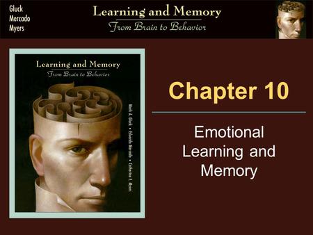 Chapter 10 Emotional Learning and Memory. 10.1 Behavioral Processes.