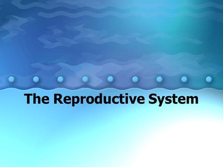 The Reproductive System