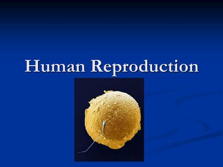 Human Reproduction.