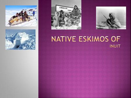 Inuit language comprises two main groups: the western Inuit group and eastern Inuit group. Western Inuit group comprises Chukotka, Southwest Alaska, and.