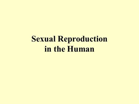 Sexual Reproduction in the Human