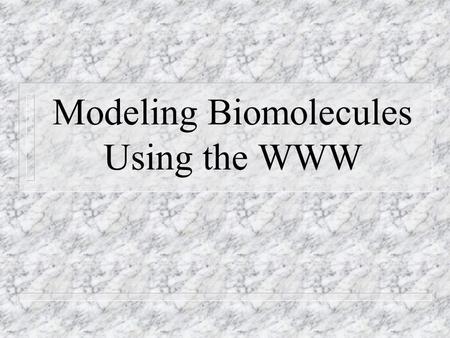 Modeling Biomolecules Using the WWW. Major Classes of Biomolecules n Peptides (Proteins) n Carbohydrates n Nucleic Acids n Lipids.