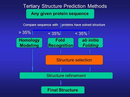 Tertiary Structure Prediction Methods Any given protein sequence Structure selection Compare sequence with proteins have solved structure Homology Modeling.