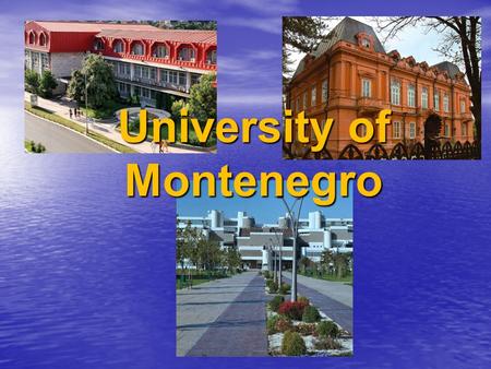 University of Montenegro University of Montenegro.