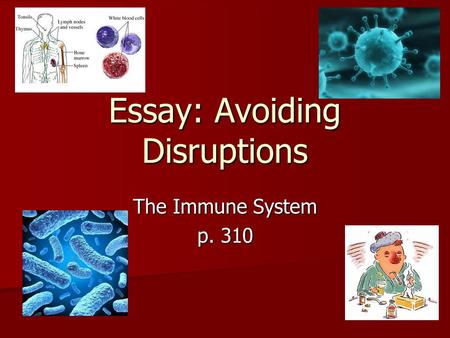 Essay: Avoiding Disruptions