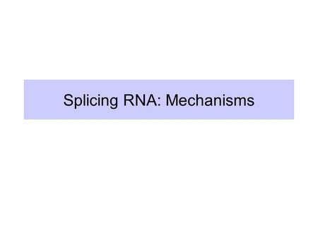 Splicing RNA: Mechanisms