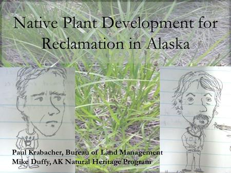 Native Plant Development for Reclamation in Alaska Paul Krabacher, Bureau of Land Management Mike Duffy, AK Natural Heritage Program.