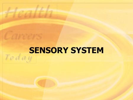 SENSORY SYSTEM. Structure and Function Sensory system consists of receptors in specialized cells and organs that perceive changes in the internal and.