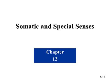 Somatic and Special Senses