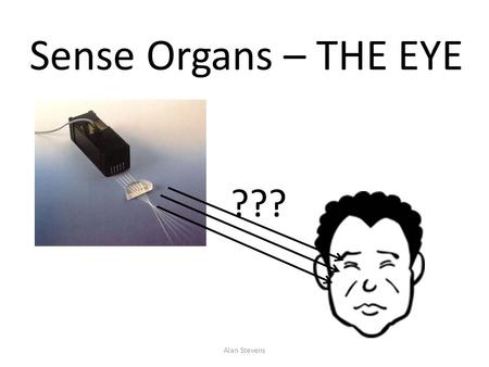 Sense Organs – THE EYE ??? Alan Stevens. From the Exam Guideline  Structure and functions of the different parts of the human eye  Functioning of the.