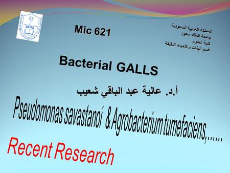 أ.د. عالية عبد الباقي شعيب المملكة العربية السعودية جامعة الملك سعود كلية العلوم قسم البنات والأحياء الدقيقة Mic 621 Bacterial GALLS.