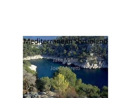 Mediterranean Shrubland Jake Miller Joey Moretti.