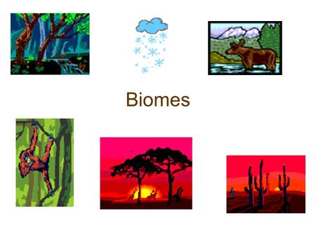 Biomes Understanding the general characteristics of each biome leads to a global view, in which one gains a general understanding of the range of biodiversity.