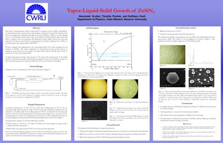 Vapor-Liquid-Solid Growth of ZnSiN2