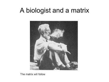 A biologist and a matrix The matrix will follow. Did you know that the 20 th century scientist who lay the foundation to the estimation of signals in.