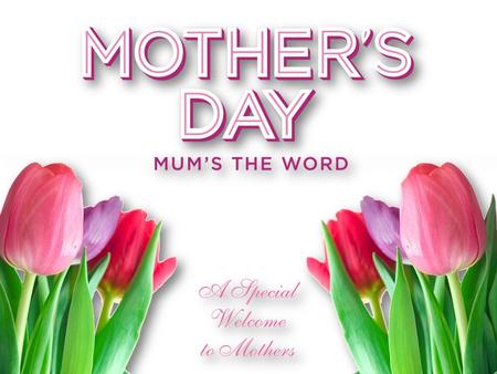 When did Mother’s Day start? Proverbs 31:10-31 8 Mothers in the Bible EVESARAH REBEKAH JOCHEBED HANNAH BATHSHEBA ELIZABETH MARY WOMEN OF THE BIBLE.