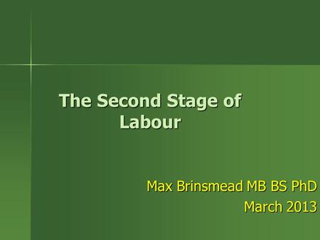 The Second Stage of Labour Max Brinsmead MB BS PhD March 2013.