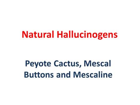 Natural Hallucinogens