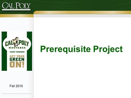 Prerequisite Project Fall 2010. Background In Fall 2009, we began work on initiatives to promote a clear path to graduation for students and support their.