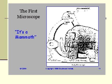 Microscopic Examination of Urine