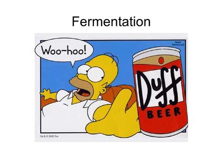 Fermentation.