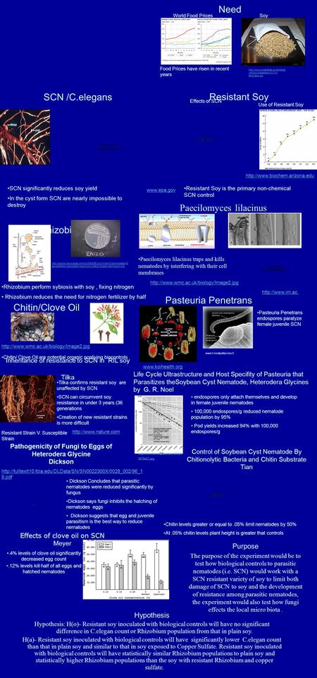 Need  versity/images/bdv-3-17-n- fertilizers.jpg SCN /C.elegans  Resistant Soy