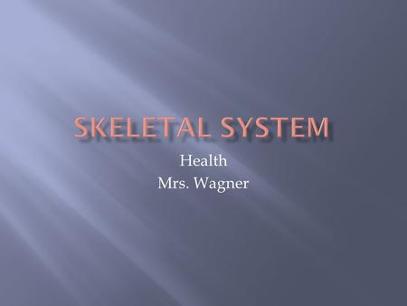 Health Mrs. Wagner.  Support your body  Give it shape  Work with muscles so you can move  Bones – store important minerals and release them to the.