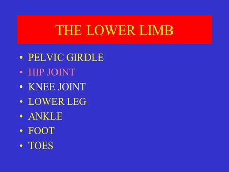 THE LOWER LIMB PELVIC GIRDLE HIP JOINT KNEE JOINT LOWER LEG ANKLE FOOT TOES.