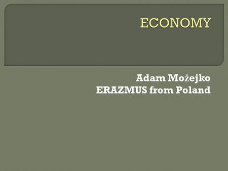 Adam Mo ż ejko ERAZMUS from Poland.  Average total cost  Average fixed cost  Productivity.