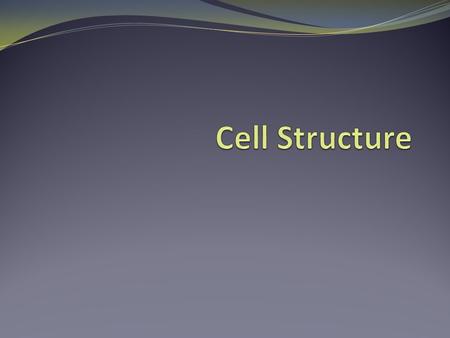 Cell Structure.