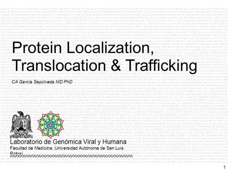 1 CA García Sepúlveda MD PhD Protein Localization, Translocation & Trafficking Laboratorio de Genómica Viral y Humana Facultad de Medicina, Universidad.