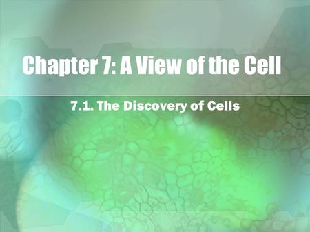 Chapter 7: A View of the Cell