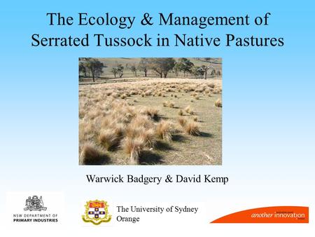 The Ecology & Management of Serrated Tussock in Native Pastures Warwick Badgery & David Kemp The University of Sydney Orange.