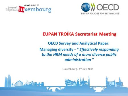 OECD Survey and Analytical Paper: Managing diversity -  Effectively responding to the HRM needs of a more diverse public administration  EUPAN TROÏKA.