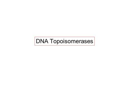 DNA Topoisomerases. DNA Supercoiling in vivo In most organisms, DNA is negatively supercoiled (  ~ -0.06) Supercoiling is involved in initiation of.