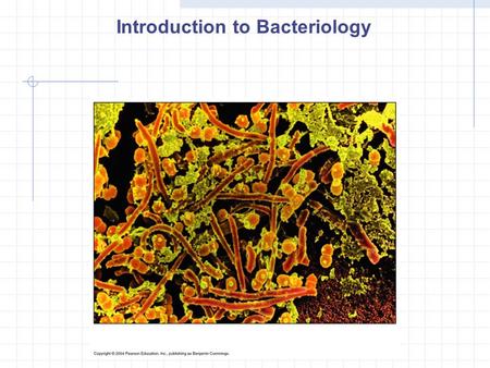 Introduction to Bacteriology